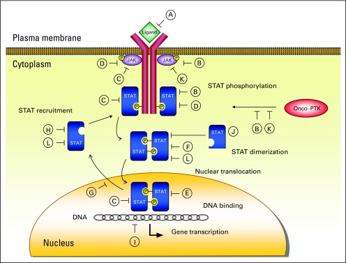 Fig 4.