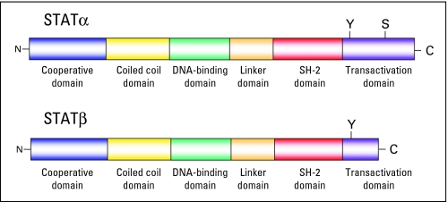 Fig 2.