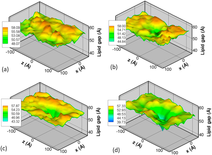 Fig. 10