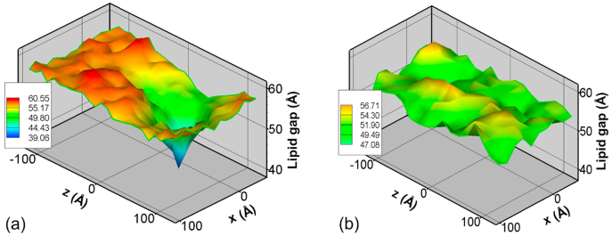 Fig. 9