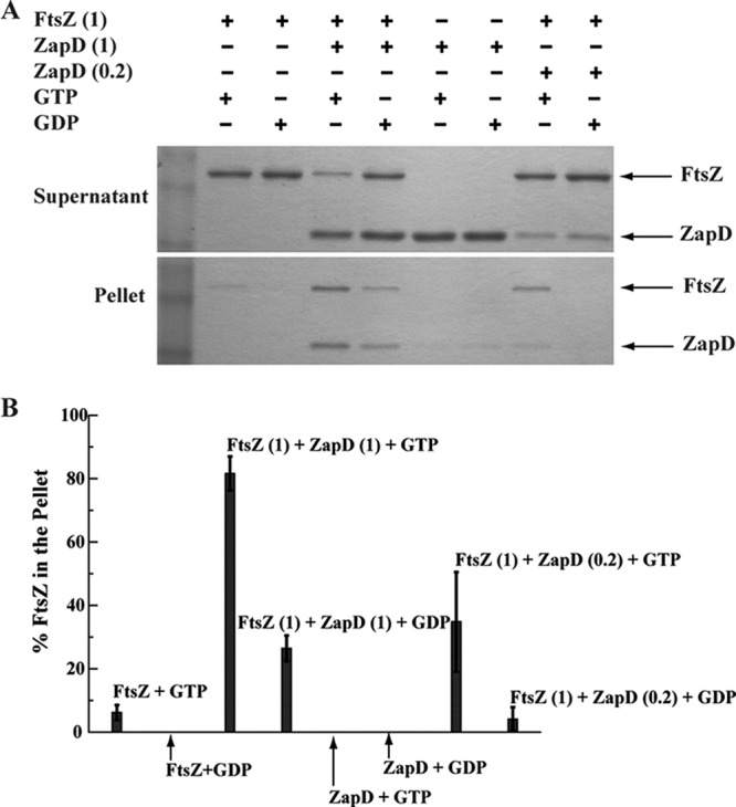 Fig 5