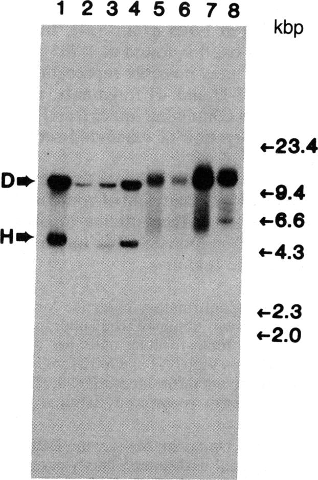 graphic file with name pnas00343-0127-a.jpg