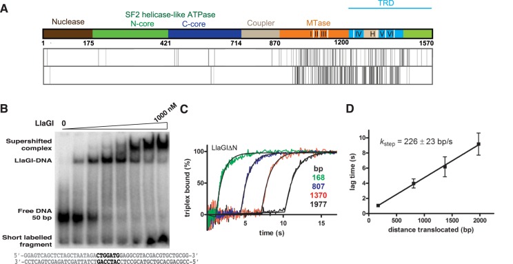 Figure 2.