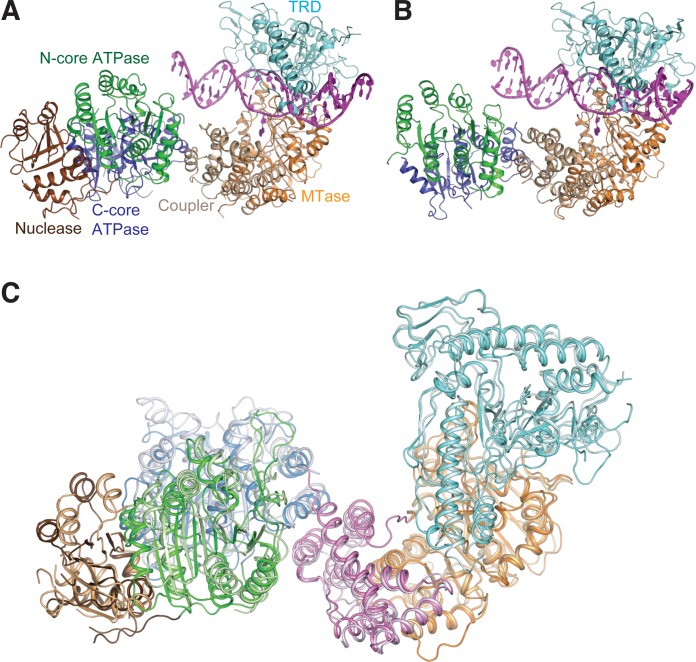 Figure 3.