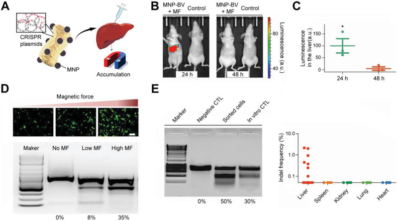 Figure 14