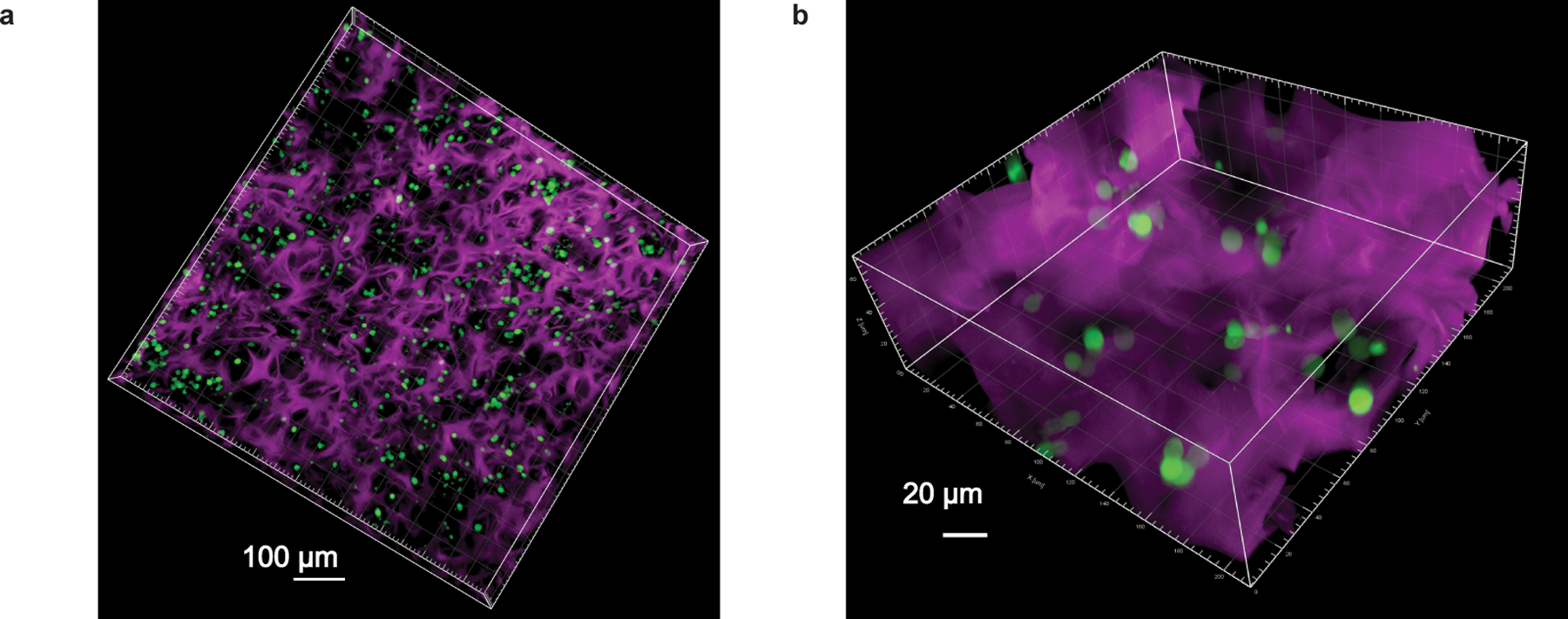 Extended Data Fig. 2