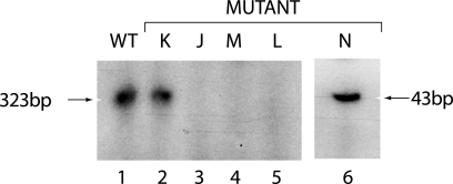 FIG. 7.