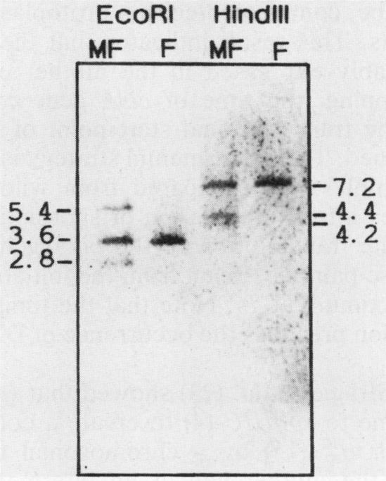 FIG. 7