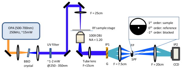 Fig. 1