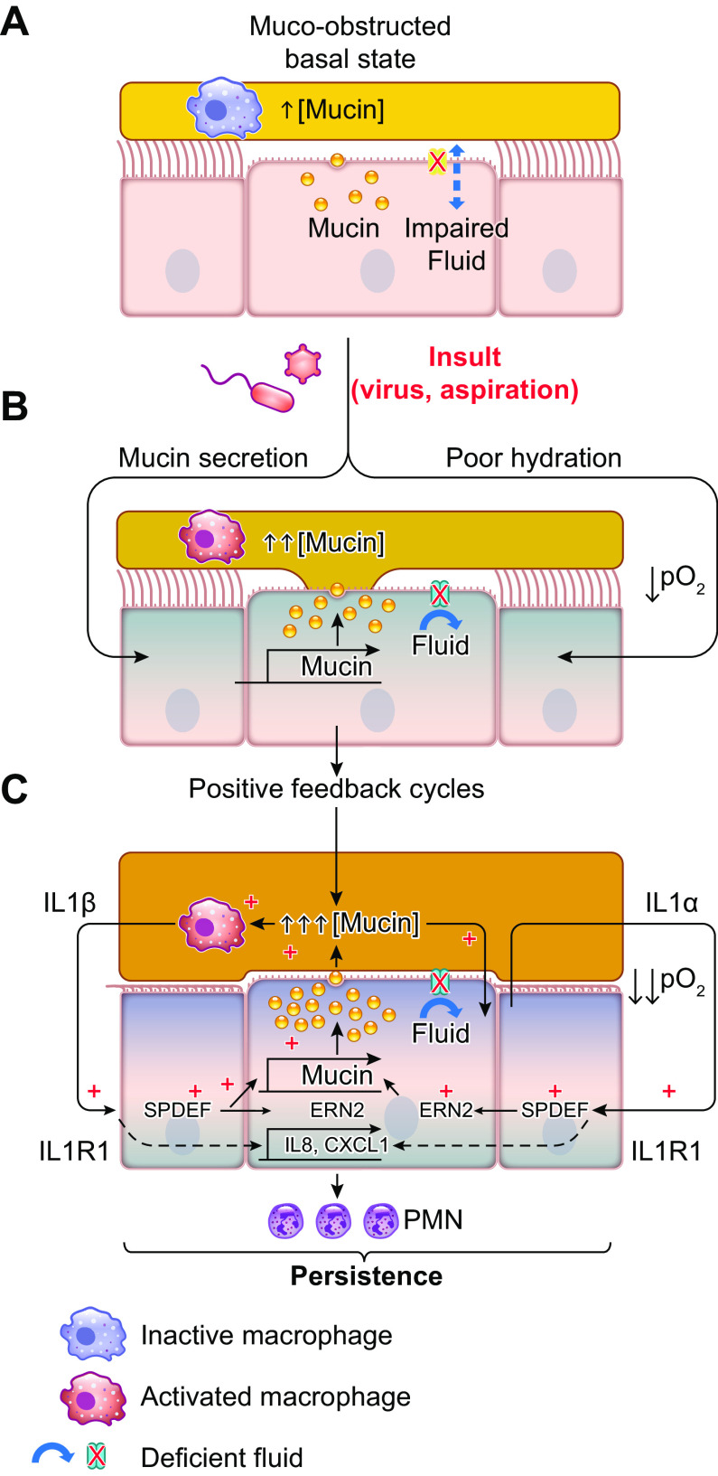 FIGURE 16.