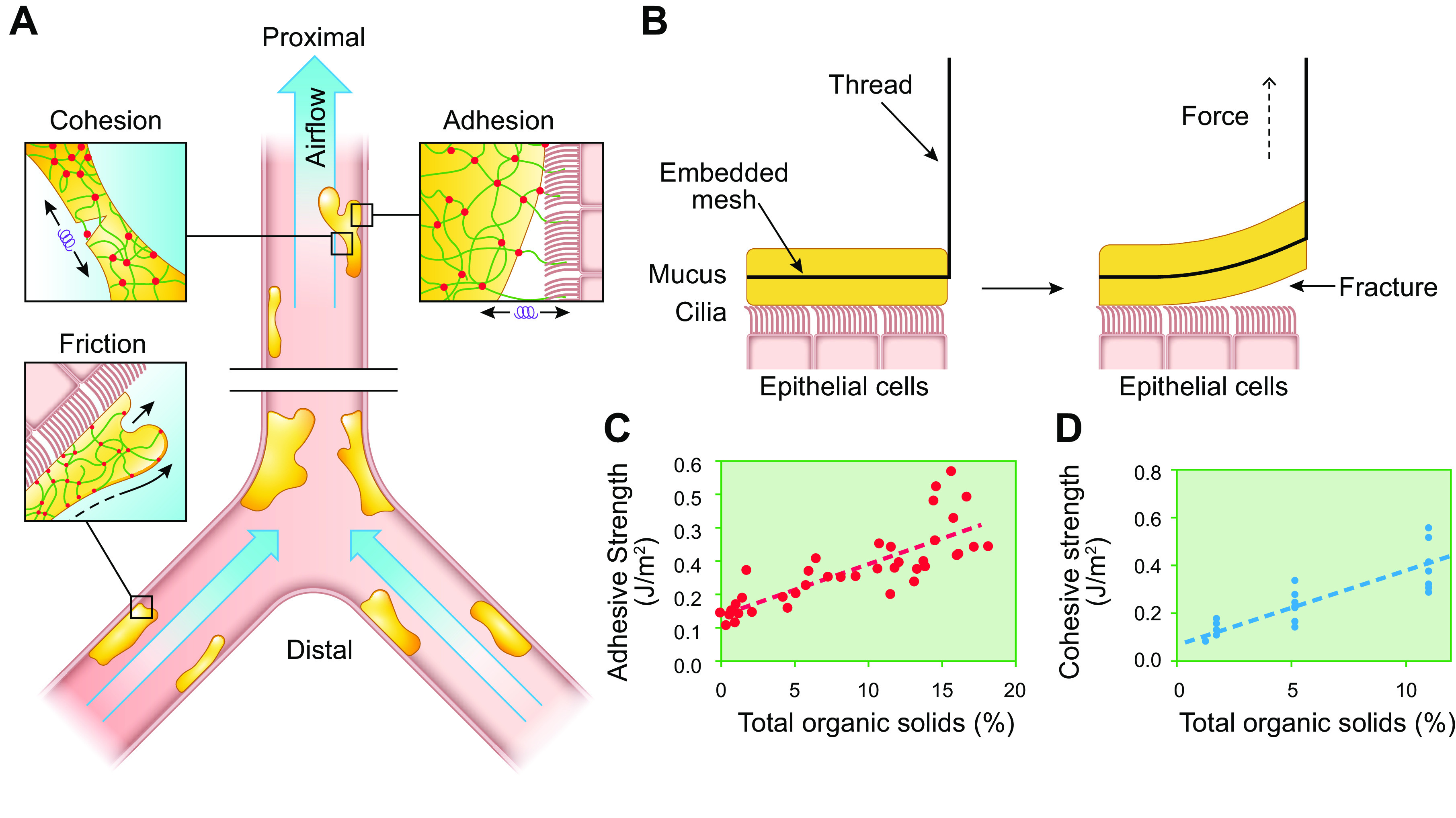 FIGURE 14.