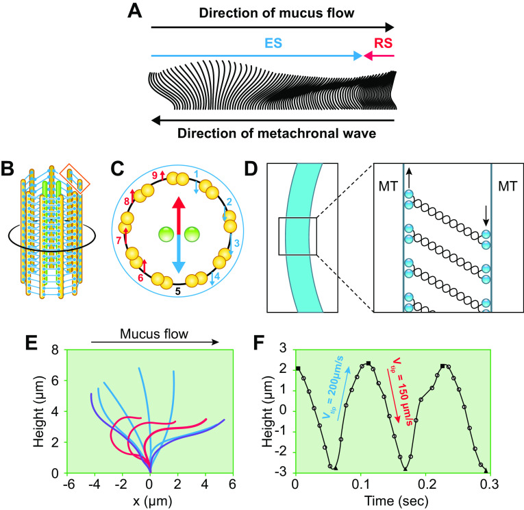 FIGURE 9.