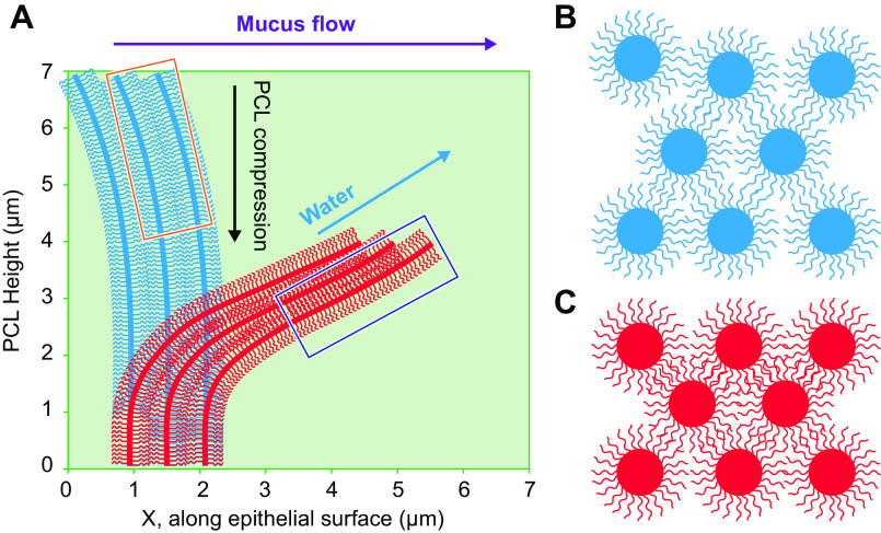 FIGURE 10.