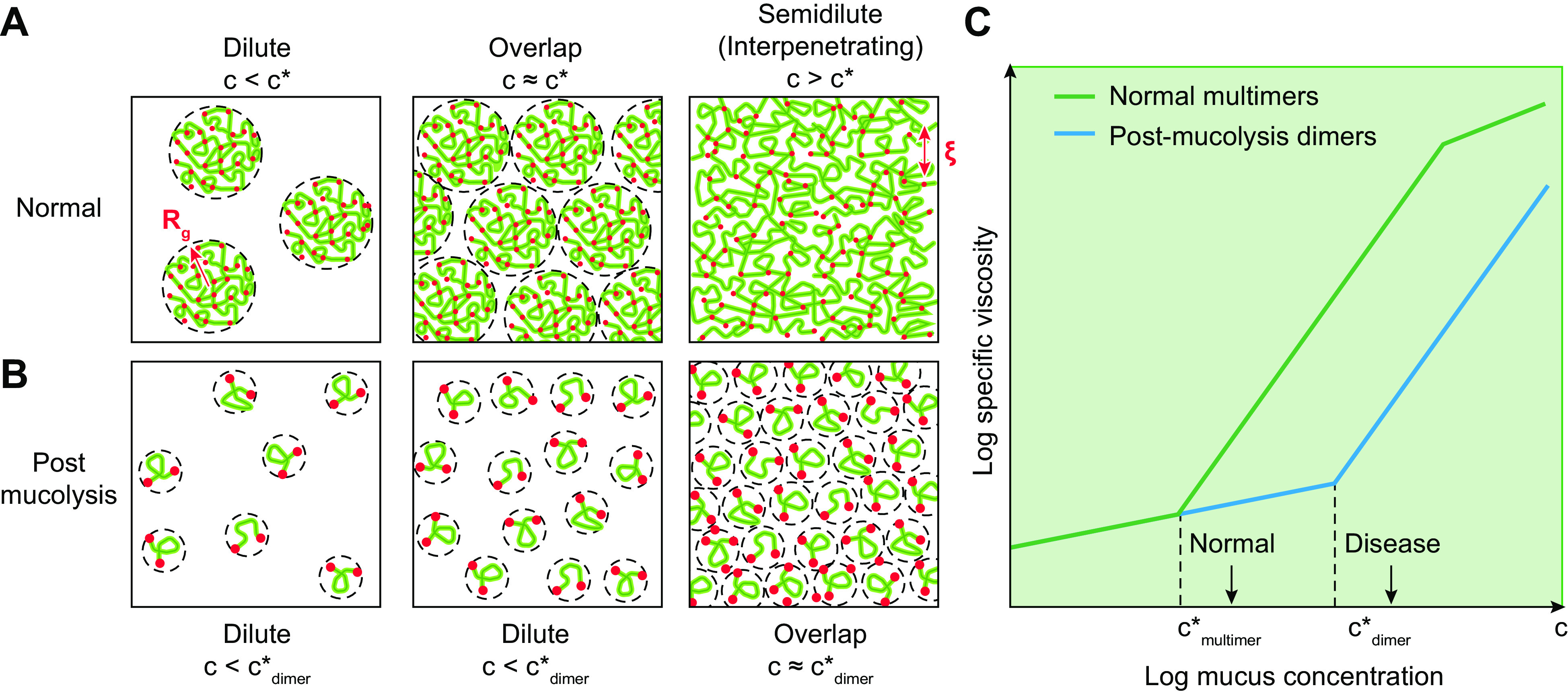 FIGURE 19.