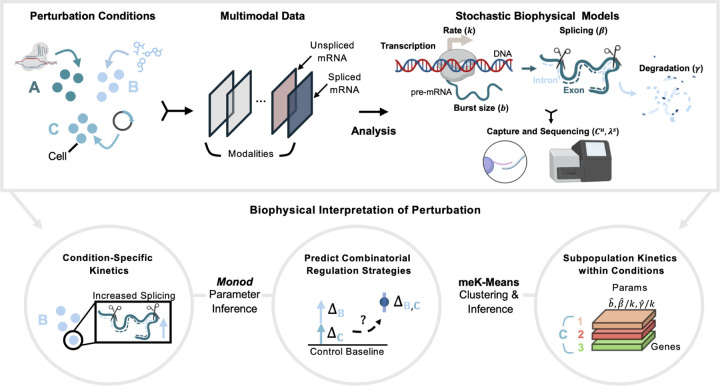 Figure 1: