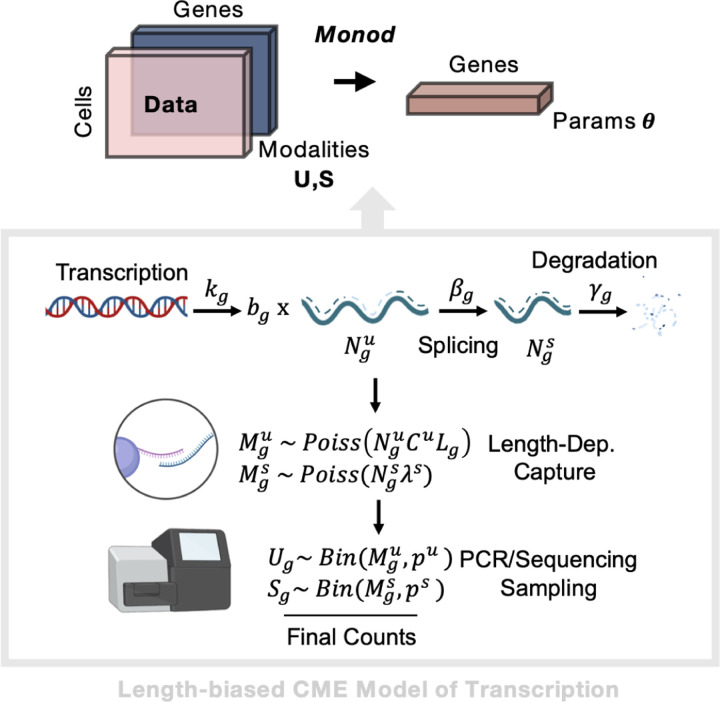 Figure 5: