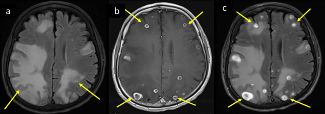 Figure 13.