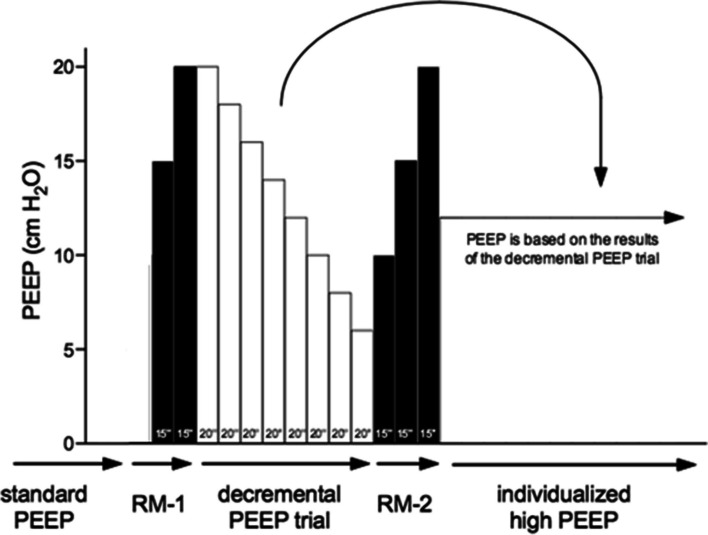 Fig. 3