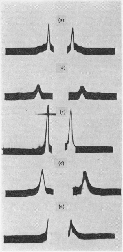 Fig. 9.