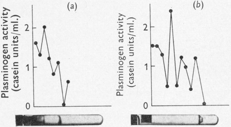 Fig. 10.