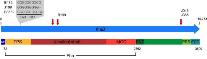 FIG 3