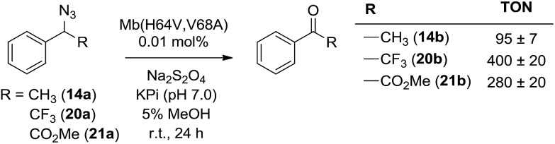 Scheme 3