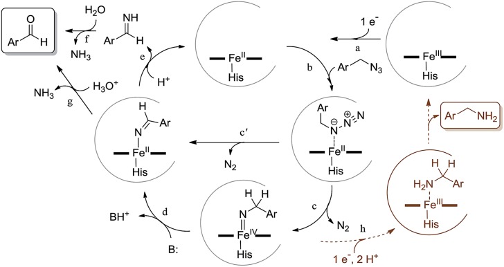 Scheme 2