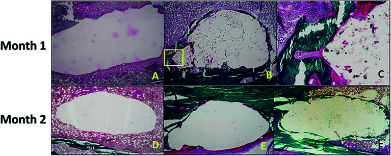 Fig. 11