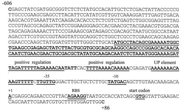 FIG. 7