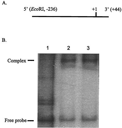 FIG. 6