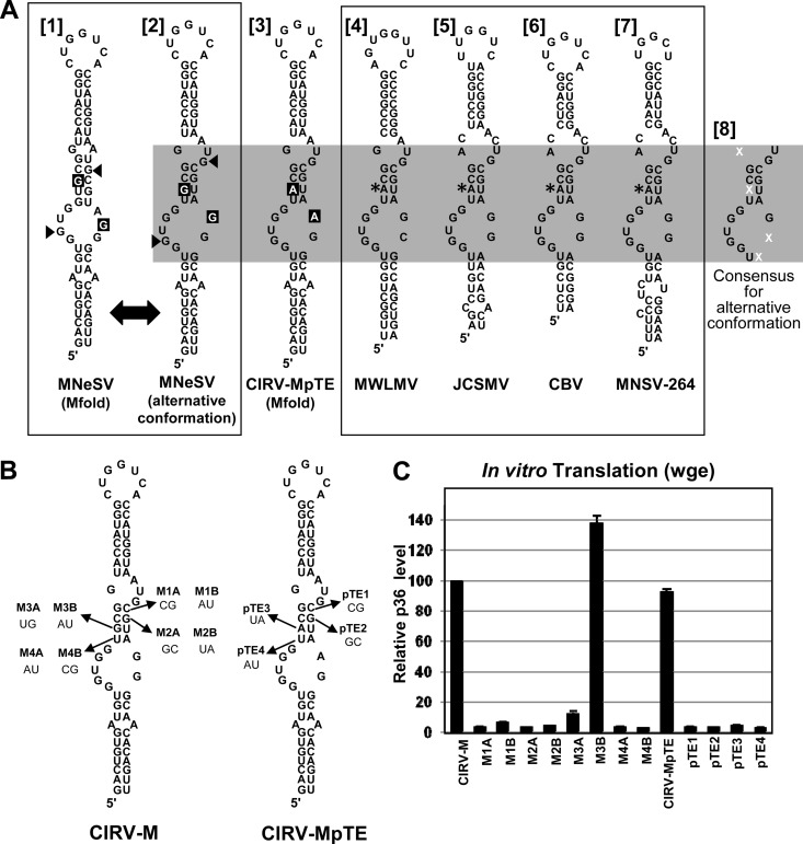 Fig 8