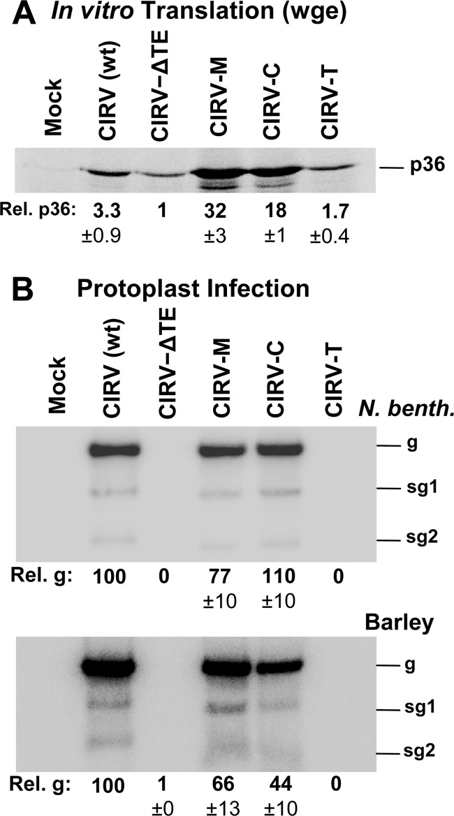 Fig 4