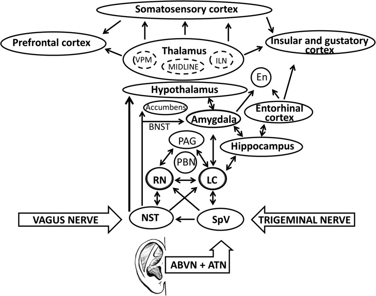 FIG. 2.