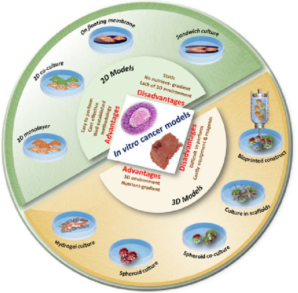 Image, graphical abstract