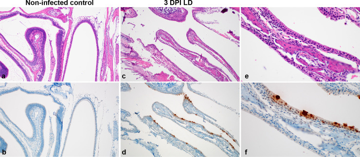 Fig 5