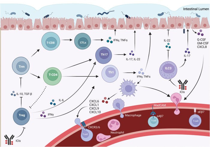 Graphical Abstract