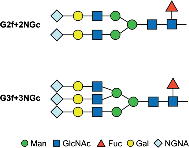 Fig. 2