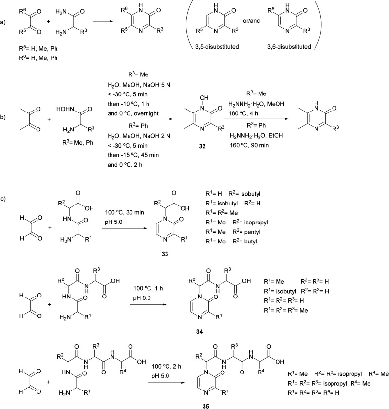 Scheme 6