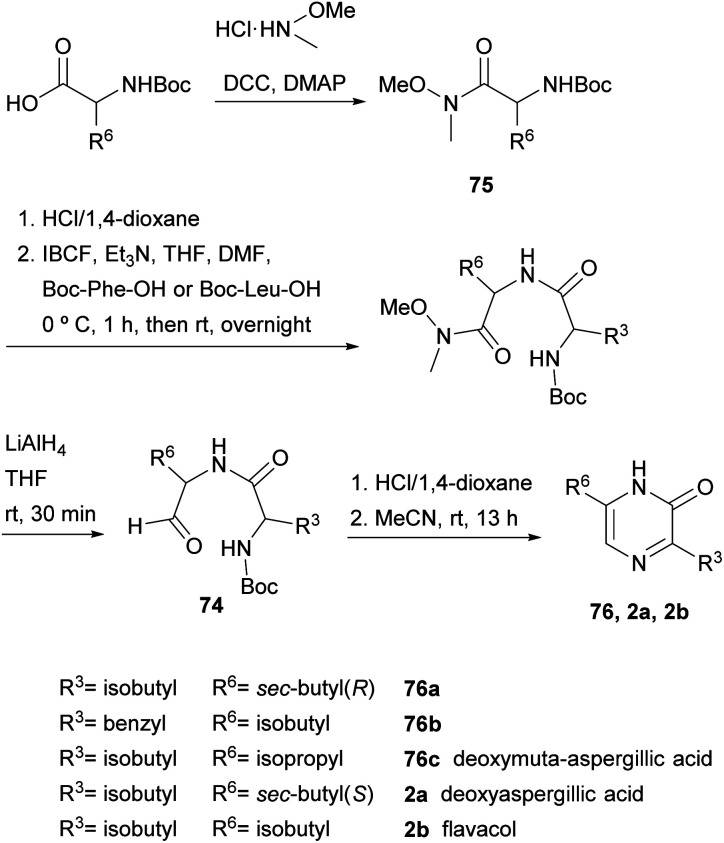 Scheme 22