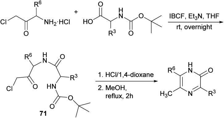 Scheme 21