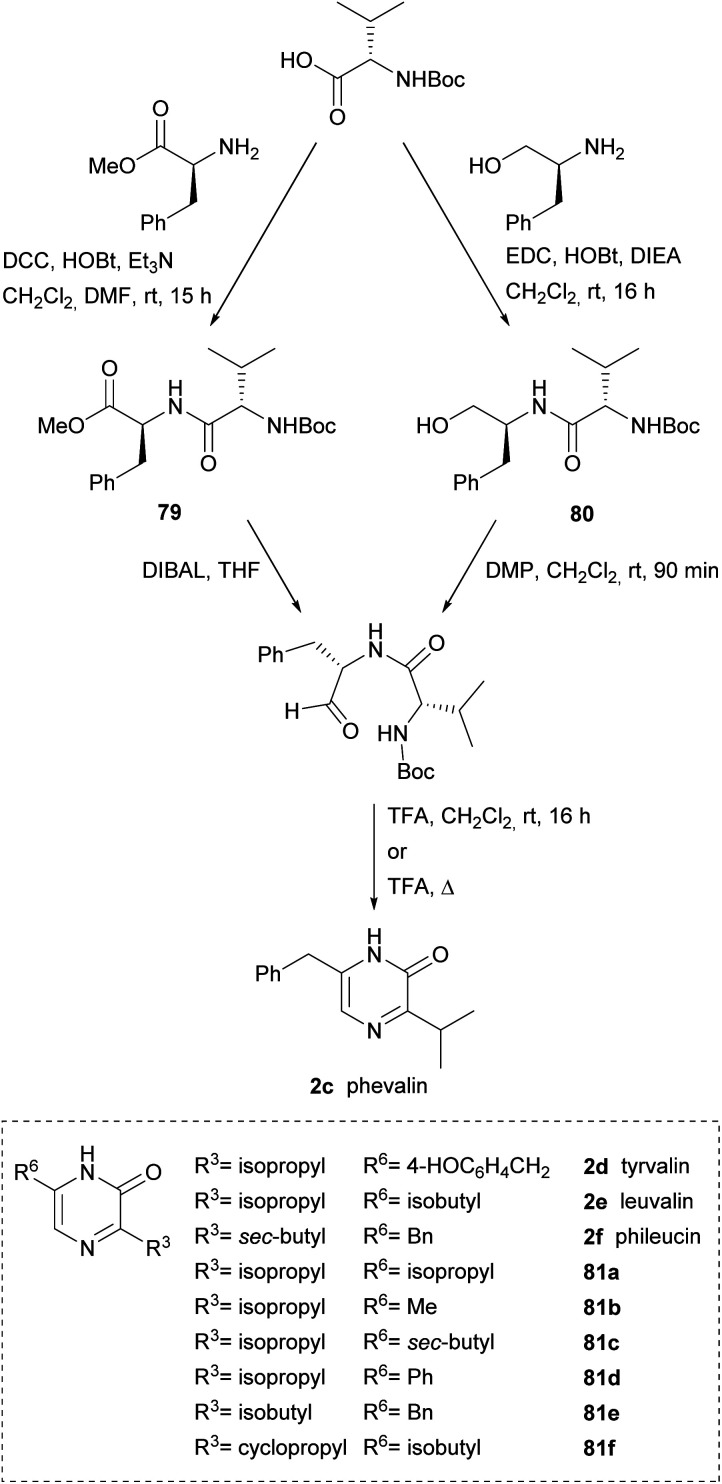 Scheme 24