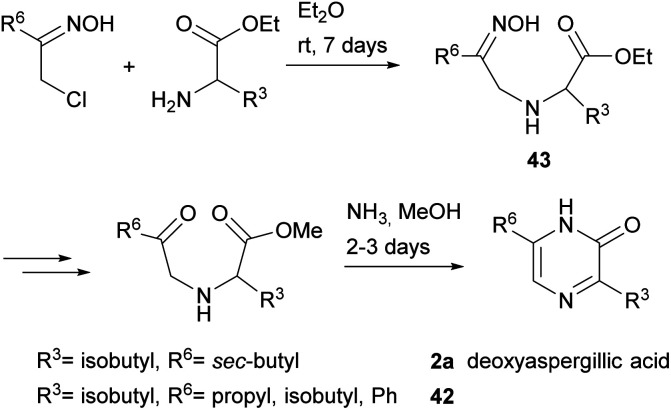 Scheme 9