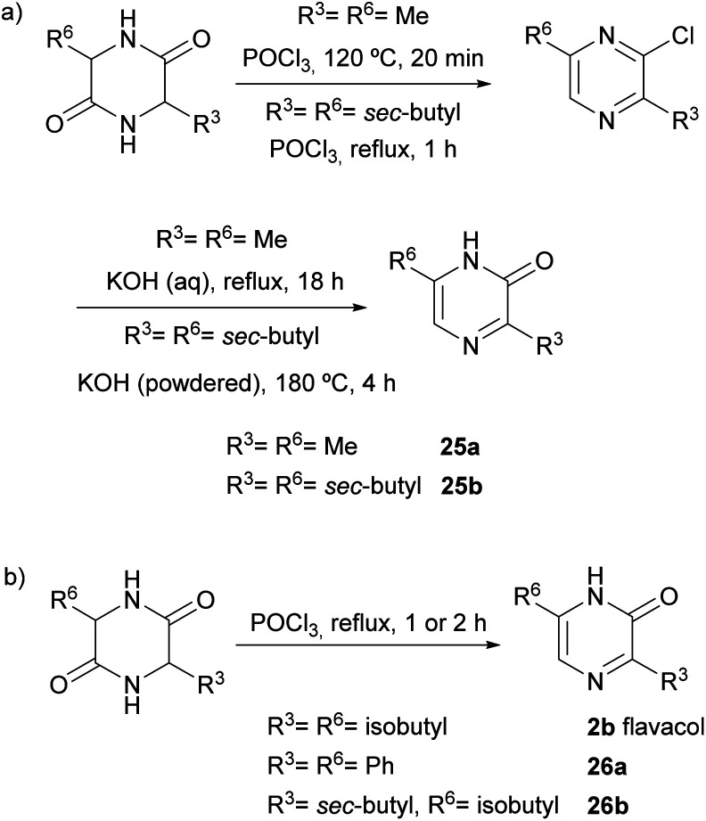 Scheme 4