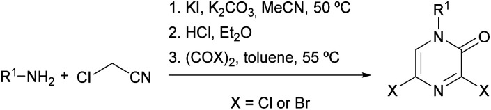 Scheme 16