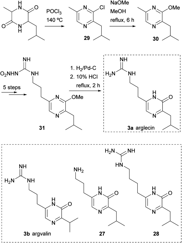 Scheme 5