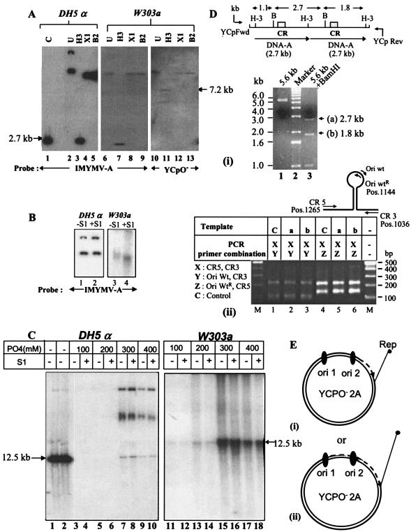 FIG. 2.