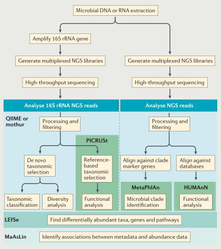 Box 1 | Technology and tools for studying host-microbiome interactions