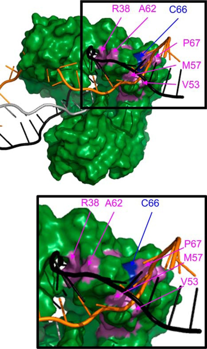 Figure 3.