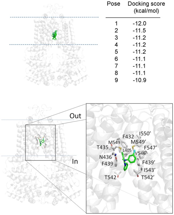 Figure 6