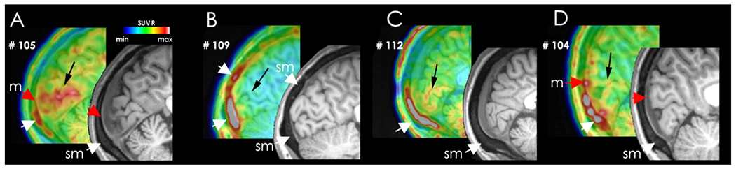 Figure 3: